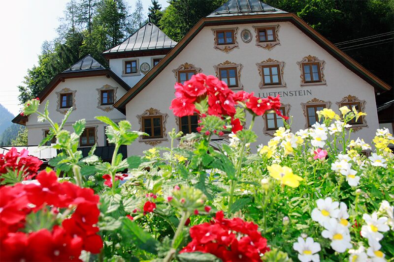 Das S' Mauthäusl Luftenstein im Sommer mit roten und weißen Blumen im Vordergrund