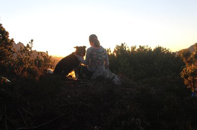 Urlaub mit Hund