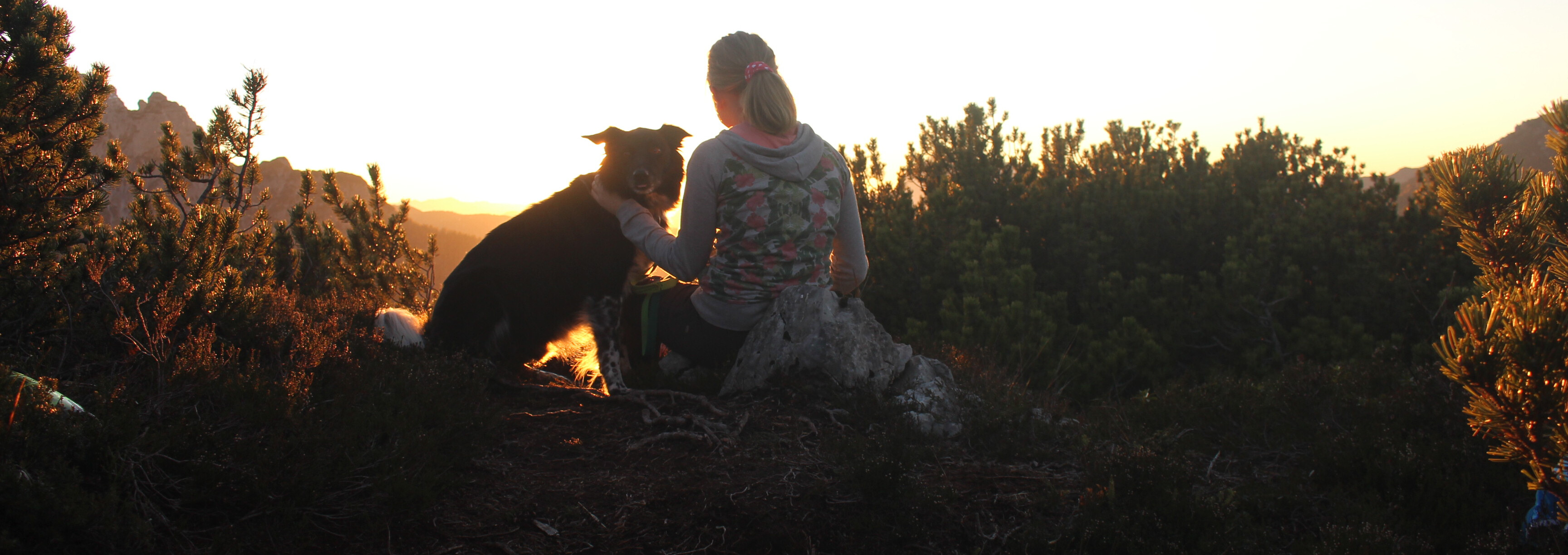 Frau sitzt mit ihrem Hund bei Sonnenuntergang auf einem Berg im Saalachtal bei Lofer.